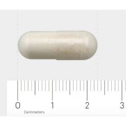 AOV 1203 Probiotica Complex -Voedingssupplementen Winkel 1021865 4