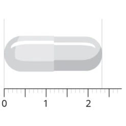 Vitals Acetyl-l-carnitine 500 Mg -Voedingssupplementen Winkel 1023935 4
