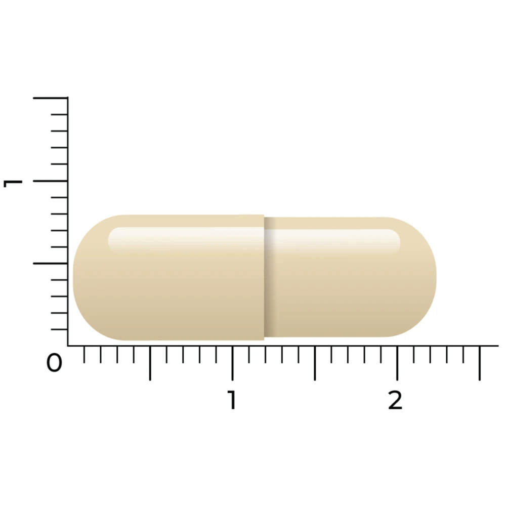 Vitakruid Para Detox 7 Vitakruid Para Detox - Afbeelding 5