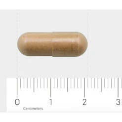 AOV 828 Salvia-extract 9 AOV 828 Salvia-extract -Voedingssupplementen Winkel 1029464 4