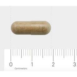 AOV 834 Bacopa (Brahmi) 9 AOV 834 Bacopa (Brahmi) -Voedingssupplementen Winkel 1029469 4