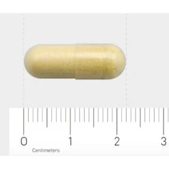 2x AOV 1029 Indole-3-Carbinol -Voedingssupplementen Winkel 1029488 4