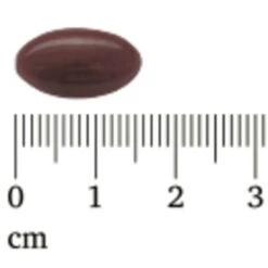 Lucovitaal Rode Gist Rijst Met Visolie En Q10 -Voedingssupplementen Winkel 1040580 4