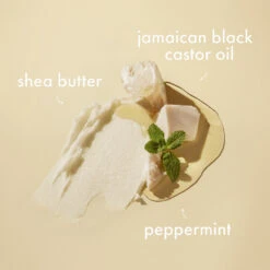 Shea Moisture Jamaican Black Castor Oil Strenghten & Restore Conditioner 8 Shea Moisture Jamaican Black Castor Oil Strenghten & Restore Conditioner -Voedingssupplementen Winkel 1049823 3