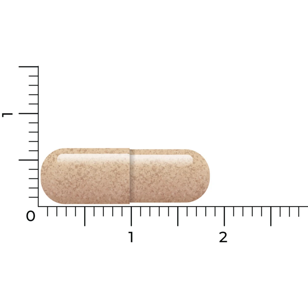 Vitakruid Lactoferrine 150 Mg 6 Vitakruid Lactoferrine 150 Mg - Afbeelding 4