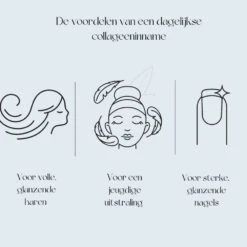 Premium Collageen Hydrolysaat Poeder Met Vitamine C En Hyaluronzuur Sinaasappelsmaak -Voedingssupplementen Winkel 1055226 4