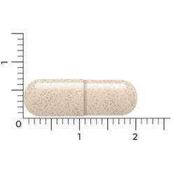 Vitakruid Ashwagandha Ksm -Voedingssupplementen Winkel 1057979 5