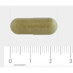 2x AOV 1032 Weerstandcomplex 11 2x AOV 1032 Weerstandcomplex -Voedingssupplementen Winkel 1071050 5