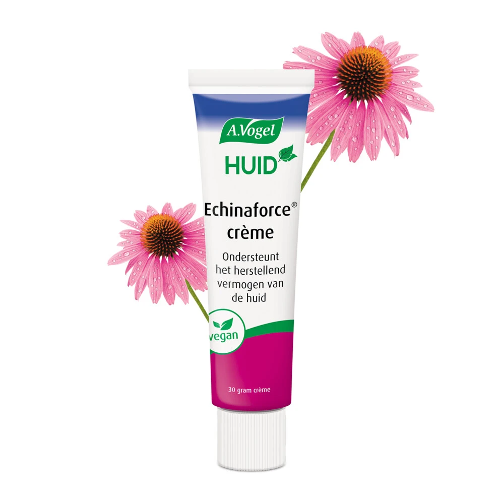 2x A.Vogel Creme Echinaforce 4 2x A.Vogel Creme Echinaforce - Afbeelding 2