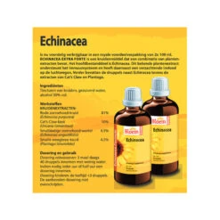 Bloem Echinacea -Voedingssupplementen Winkel 878464 2