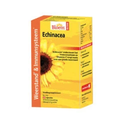 2x Bloem Echinacea