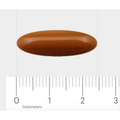 Orthica Menopauze Protect -Voedingssupplementen Winkel 976281 4