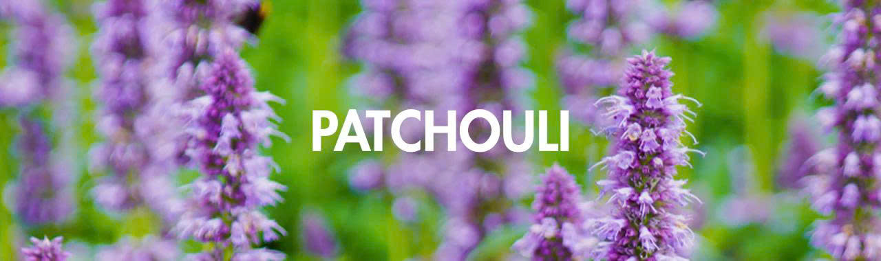 Voedingssupplementen Winkel -Voedingssupplementen Winkel z6810877316683 87b3fe92649a842d467b8bb4db5d875b